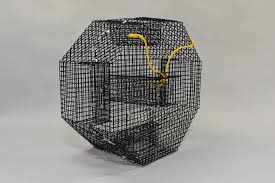 Lobster Pots, Lobster Traps, and Lobster Nets: What Really Works on the Water