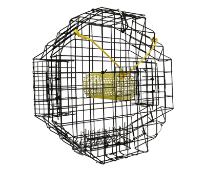 Guide to Lobster Pots, Traps & Nets: Catch Smarter with EZ Puller