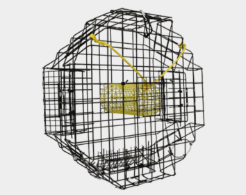 What’s the Best Time of Day to Use a Crab Net? Depth, Timing, and Cast Net Tips