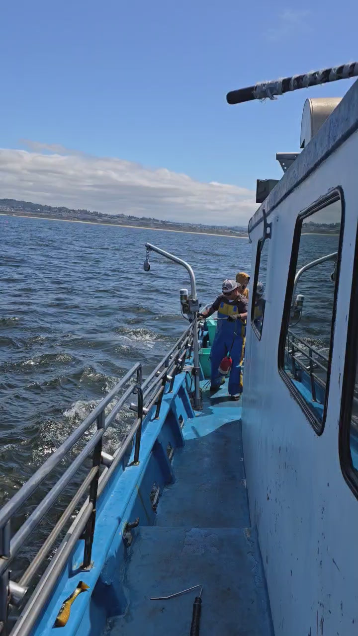 PRO SERIES  HT2sch80 2" Electric Pot/Trap Hauler